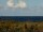 Webcam in Cape Canaveral, Florida, 259 km