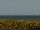 Webcam in Cape Canaveral, Florida, 94.4 km