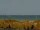 Webcam in Cape Canaveral, Florida, 50.8 mi away