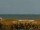 Webcam in Cape Canaveral, Florida, 61.8 km entfernt