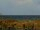 Webcam in Cape Canaveral, Florida, 23.2 mi away