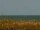 Webcam in Cape Canaveral, Florida, 77.2 km