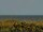 Webcam in Cape Canaveral, Florida, 44.2 mi away