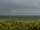 Webcam in Cape Canaveral, Florida, 33.3 km entfernt