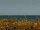 Webcam in Cape Canaveral, Florida, 23.2 mi away