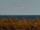 Webcam in Cape Canaveral, Florida, 259 km