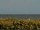 Webcam in Cape Canaveral, Florida, 72.6 km