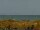 Webcam in Cape Canaveral, Florida, 61.8 km