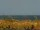Webcam in Cape Canaveral, Floride, 239 km