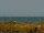 Webcam in Cape Canaveral, Florida, 103.5 km
