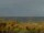 Webcam in Cape Canaveral, Florida, 23.2 mi away