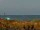 Webcam in Cape Canaveral, Florida, 85.6 km entfernt