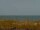 Webcam in Cape Canaveral, Florida, 78.1 km entfernt