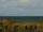 Webcam in Cape Canaveral, Floride, 259 km