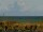 Webcam in Cape Canaveral, Florida, 180.9 km