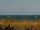 Webcam in Cape Canaveral, Florida, 225.5 km