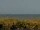 Webcam in Cape Canaveral, Florida, 239 km