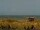 Webcam in Cape Canaveral, Florida, 30.1 mi away