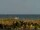 Webcam in Cape Canaveral, Florida, 83.1 km