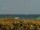 Webcam in Cape Canaveral, Florida, 131.6 km