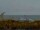 Webcam in Cape Canaveral, Florida, 259 km