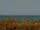 Webcam in Cape Canaveral, Florida, 259 km