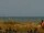 Webcam in Cape Canaveral, Florida, 331.4 km
