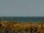 Webcam in Cape Canaveral, Florida, 23.2 mi away