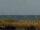 Webcam in Cape Canaveral, Florida, 30.1 mi away