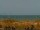 Webcam in Cape Canaveral, Florida, 38.5 mi away