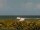 Webcam in Cape Canaveral, Florida, 118.2 km