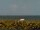 Webcam in Cape Canaveral, Florida, 239 km