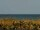 Webcam in Cape Canaveral, Florida, 99.7 km