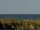 Webcam in Cape Canaveral, Florida, 94.3 km