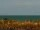 Webcam in Cape Canaveral, Florida, 259 km