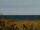 Webcam in Cape Canaveral, Florida, 30.6 mi away