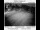Webcam in Timber, Oregon, 79.9 km entfernt