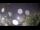 Webcam in Chalmette, Louisiana, 84.1 km entfernt