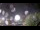 Webcam in Chalmette, Louisiana, 197.7 km