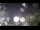 Webcam in Chalmette, Louisiana, 6.8 mi away