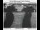 Webcam in Corbett, Oregon, 96.9 km