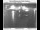 Webcam in Corbett, Oregon, 49.5 km