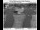 Webcam in Corbett, Oregon, 39.6 km entfernt