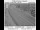 Webcam in Prineville, Oregon, 338.5 km entfernt