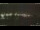 Webcam in Anversa, 97.2 km