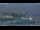 Webcam in Antwerp, 0.4 mi away