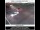 Webcam in Salem, Oregon, 95.7 km