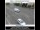 Webcam in Salem, Oregon, 48.7 km