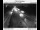 Webcam in Fairview, Oregon, 14.4 mi away