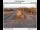 Webcam in Fairview, Oregon, 6 mi away